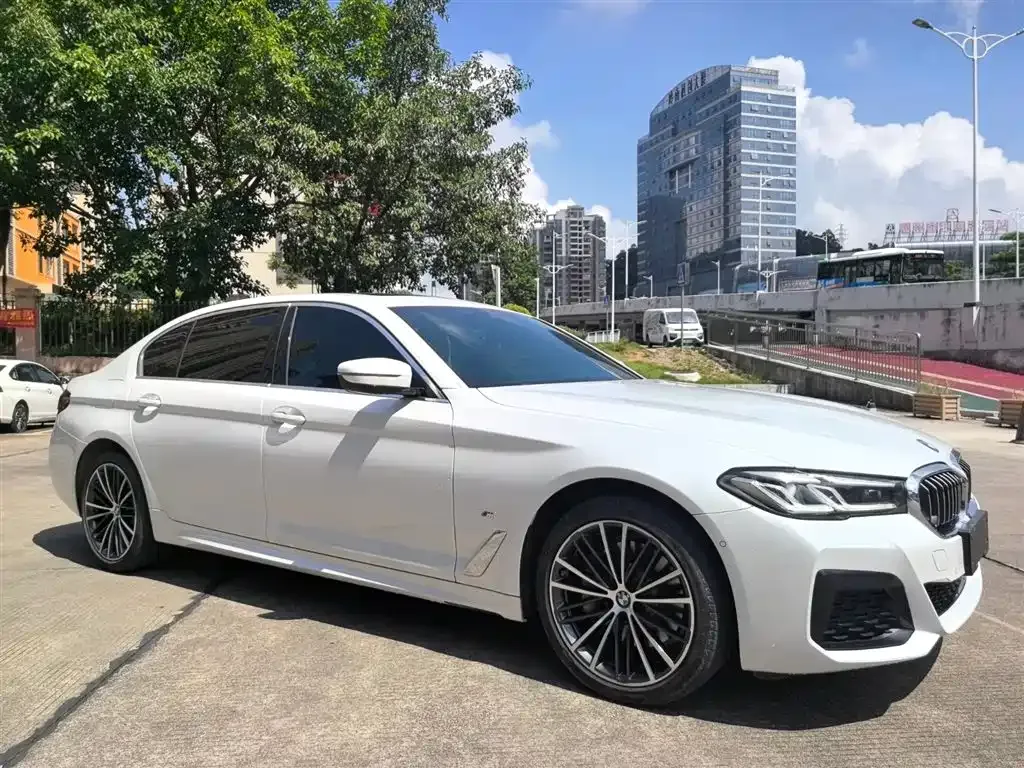 BMW 5 Series 2022 из CN, фото 3