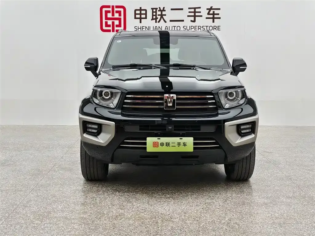 Tank 700 New Energy 2024 из CN, фото 1