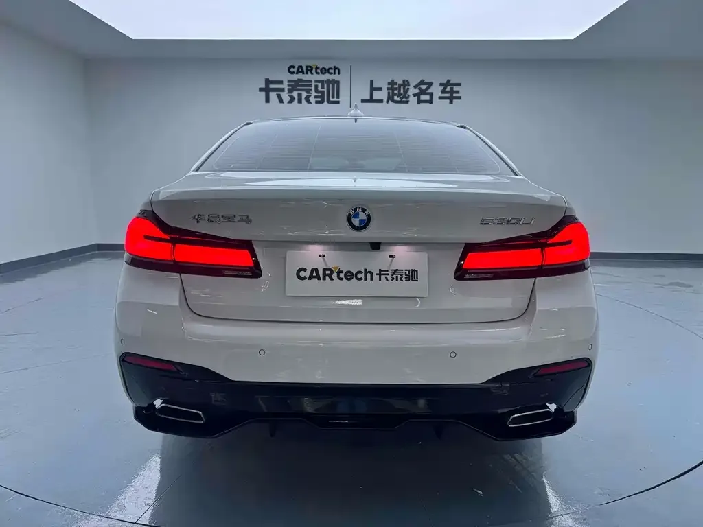 BMW 5 Series 2023 из CN, фото 8