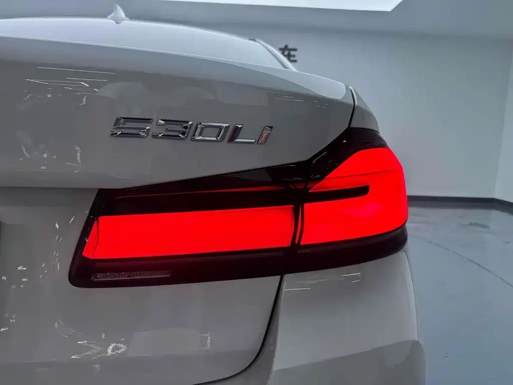 BMW 5 Series 2023 из CN, фото 9