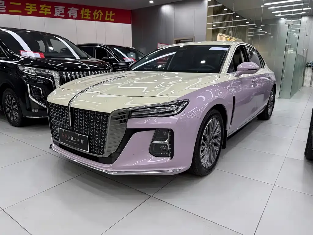 Hongqi H5 2023 из CN, фото 1