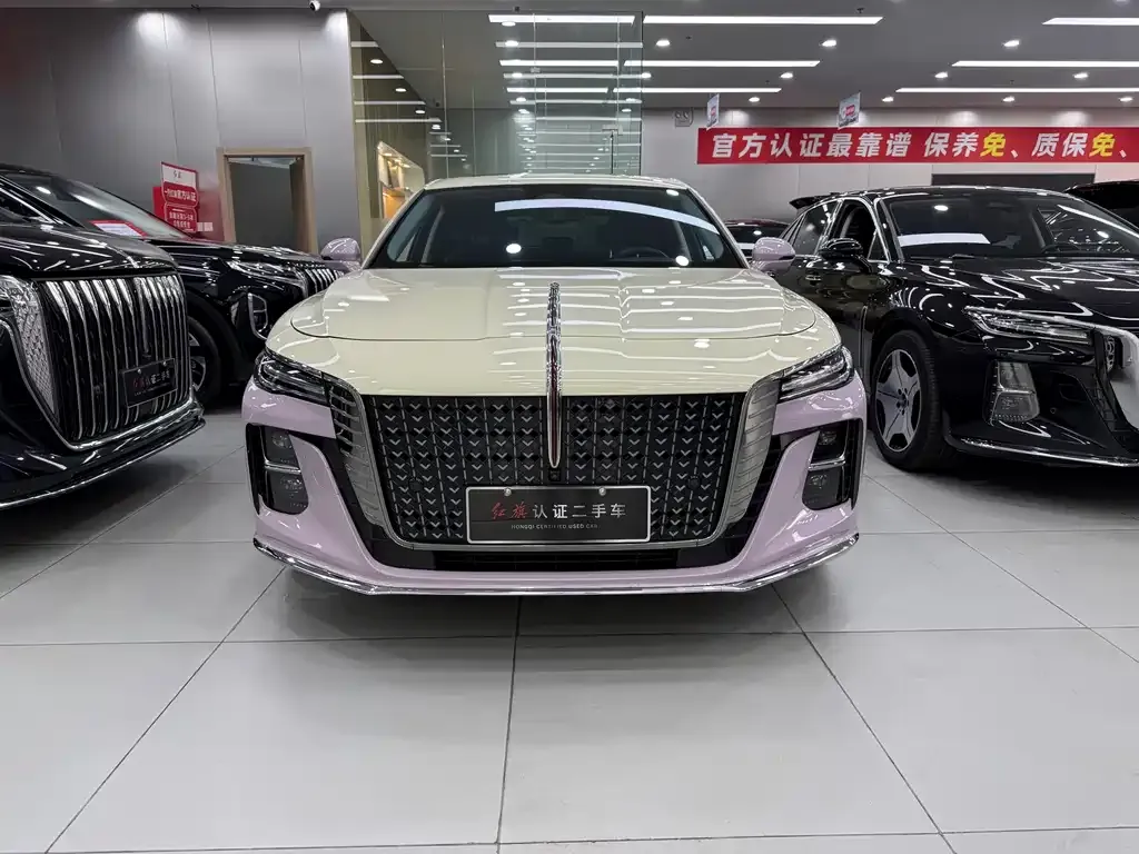 Hongqi H5 2023 из CN, фото 2