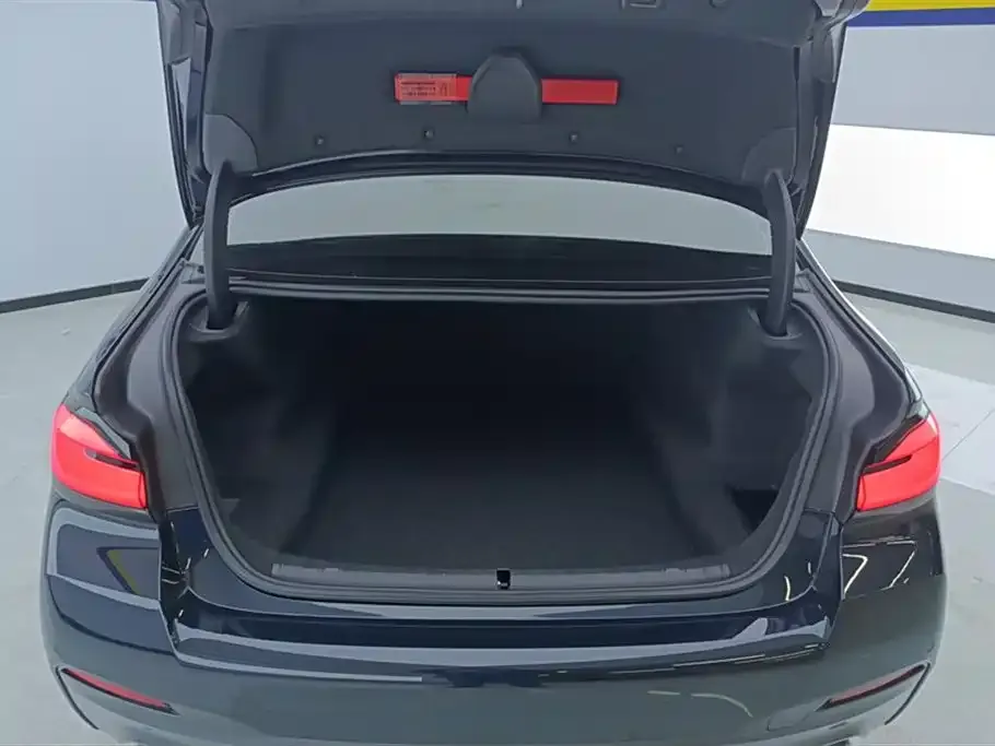 BMW 5 Series 2024 из CN, фото 4