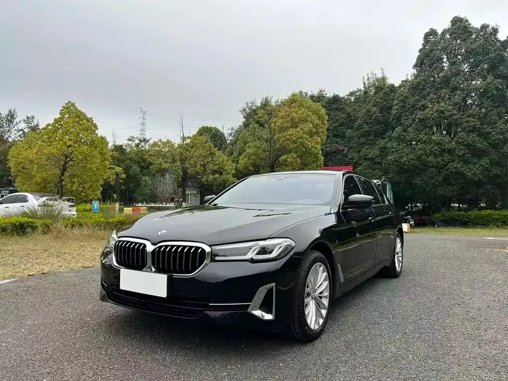 BMW 5 Series 2022 из CN, фото 1