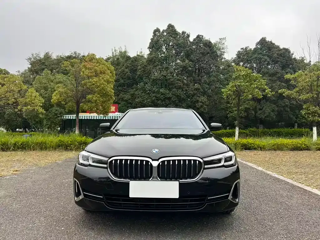 BMW 5 Series 2022 из CN, фото 2