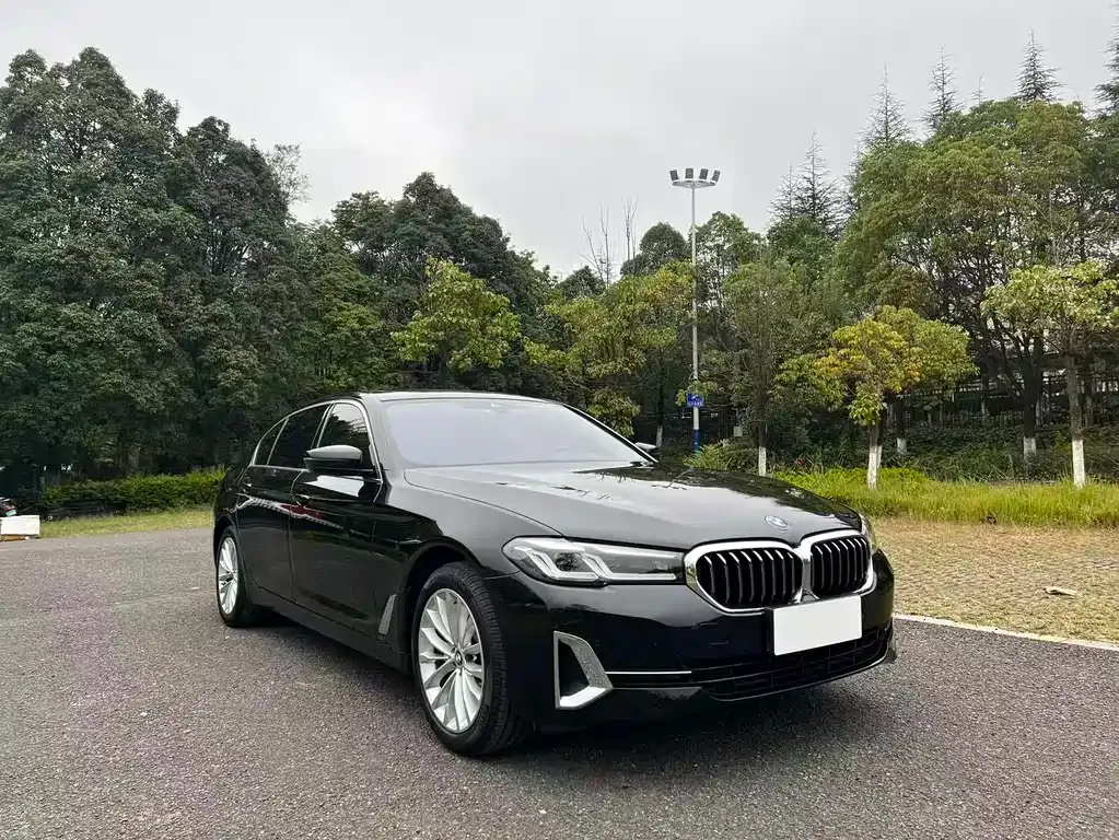 BMW 5 Series 2022 из CN, фото 3
