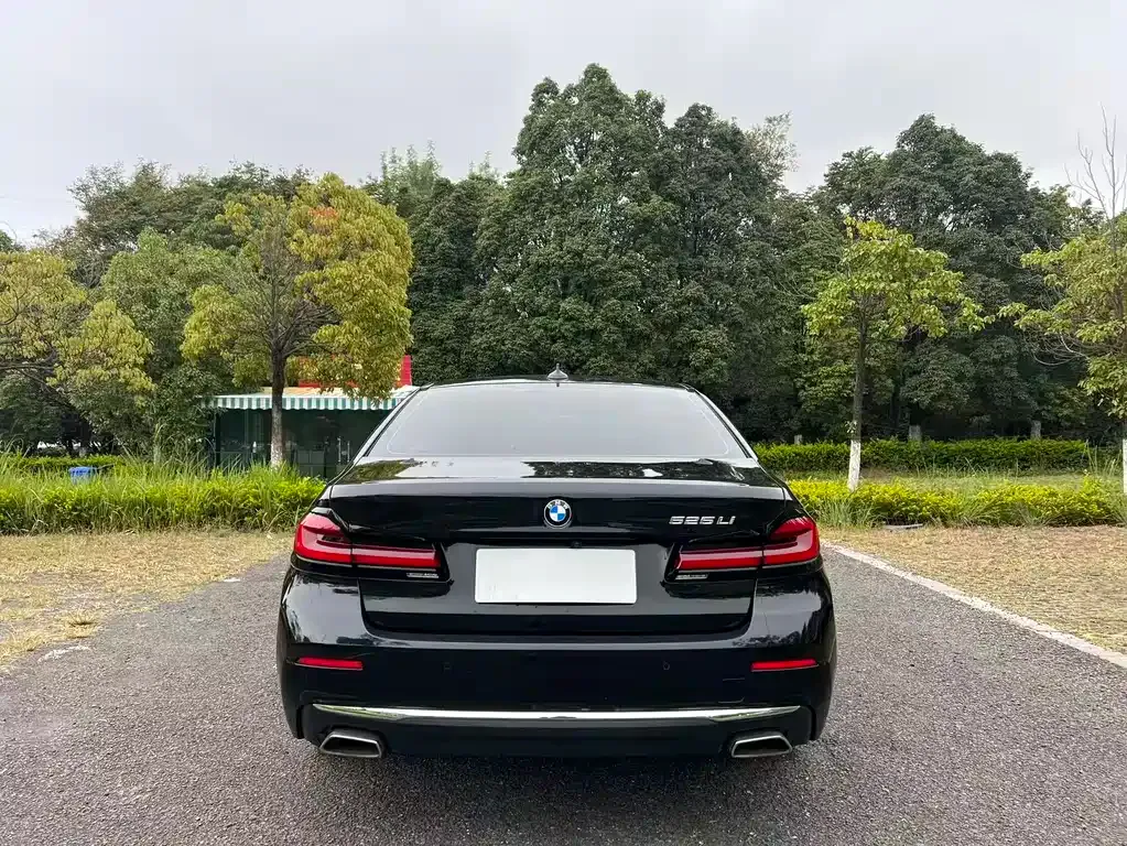 BMW 5 Series 2022 из CN, фото 5