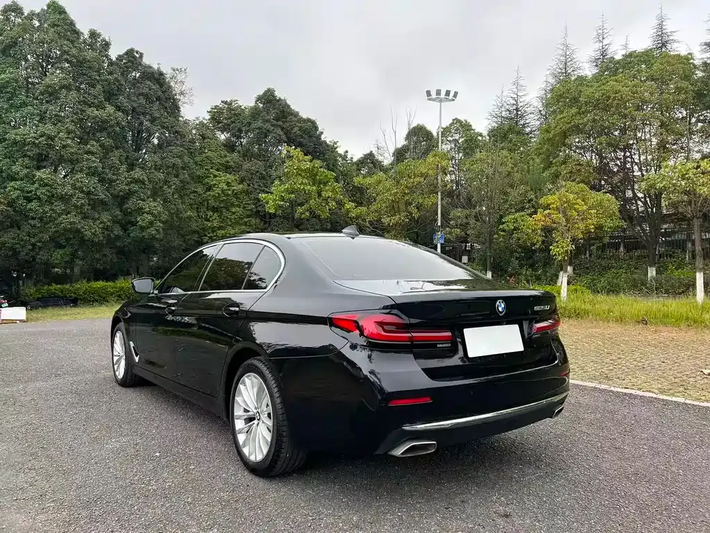 BMW 5 Series 2022 из CN, фото 6