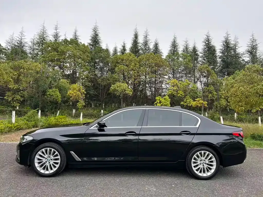 BMW 5 Series 2022 из CN, фото 7