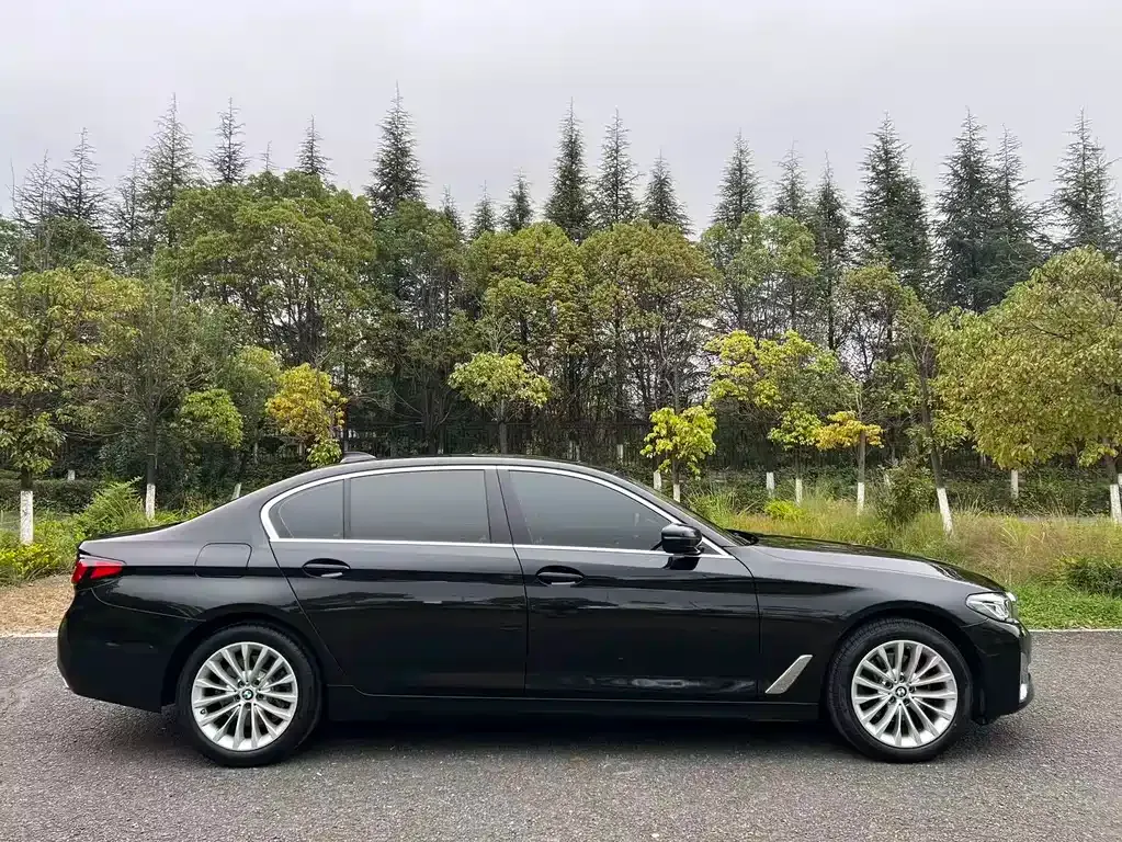 BMW 5 Series 2022 из CN, фото 8