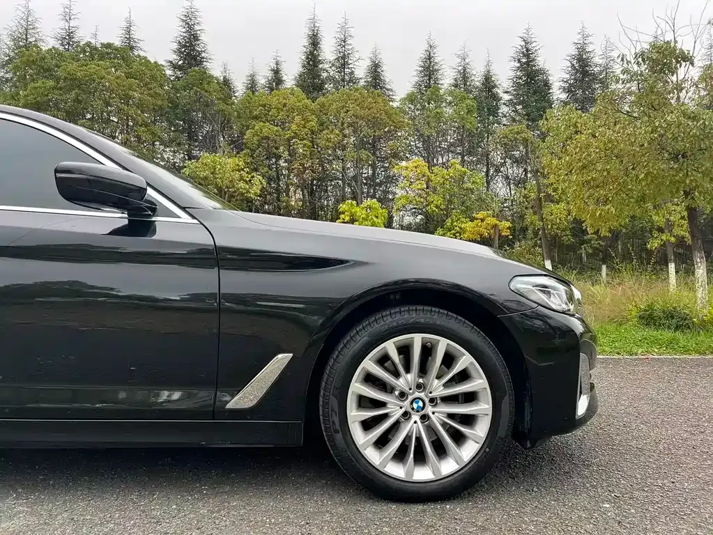 BMW 5 Series 2022 из CN, фото 9