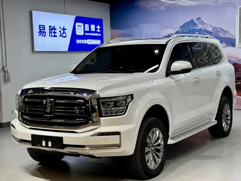 Tank 500 New Energy 2024 из CN, фото 1