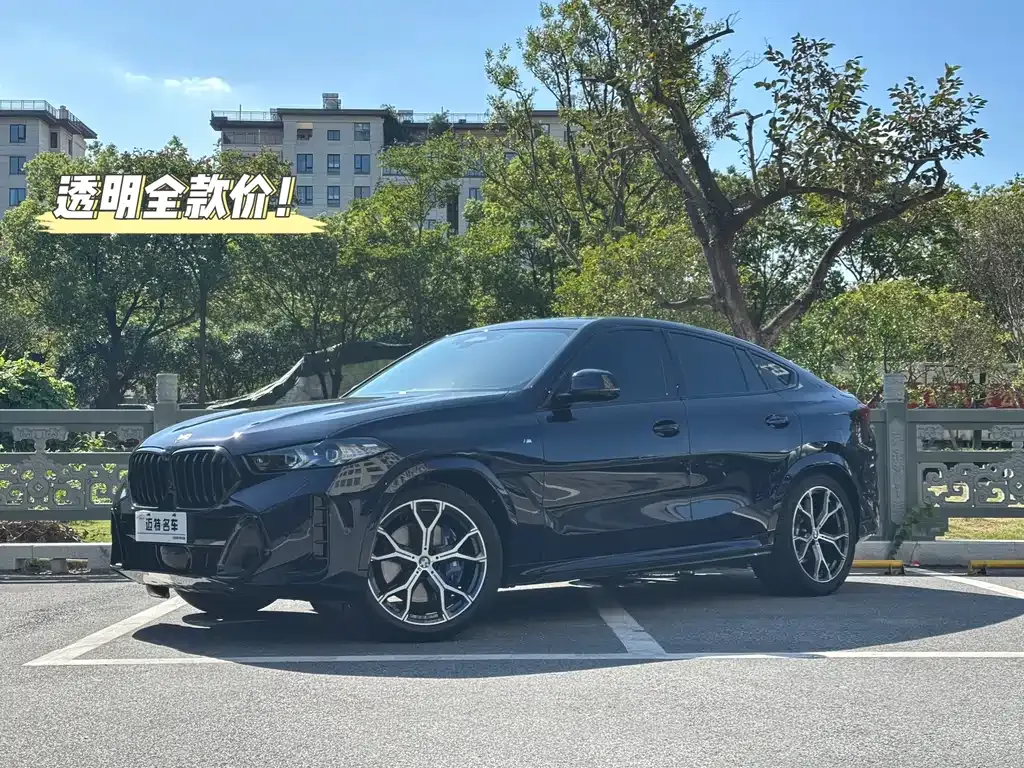 BMW X6 2023 из CN, фото 1