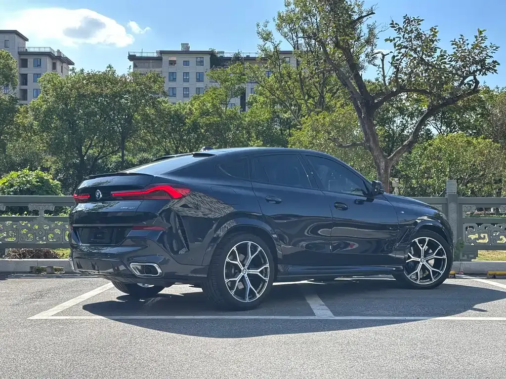 BMW X6 2023 из CN, фото 4