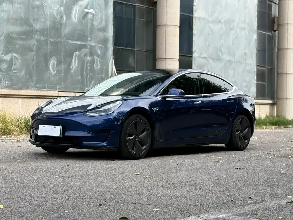 Tesla Model 3 2021 из CN, фото 1