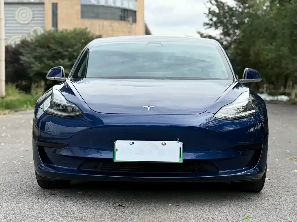 Tesla Model 3 2021 из CN, фото 2