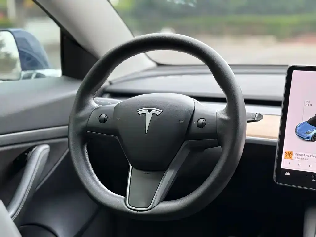 Tesla Model 3 2021 из CN, фото 4