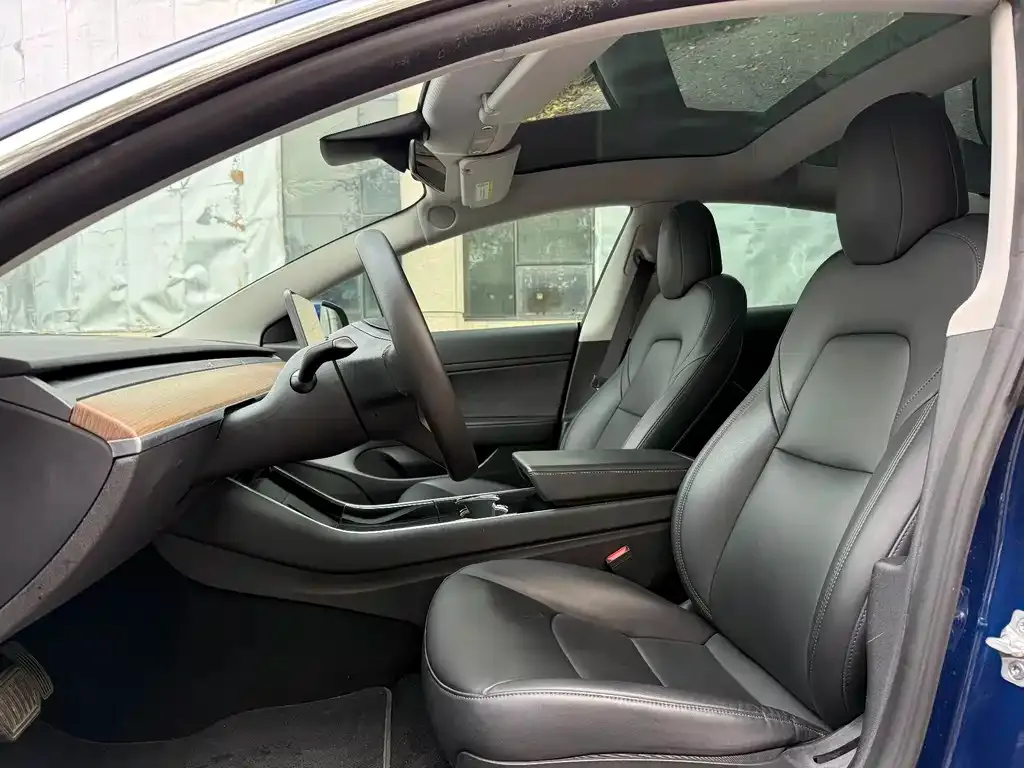 Tesla Model 3 2021 из CN, фото 5