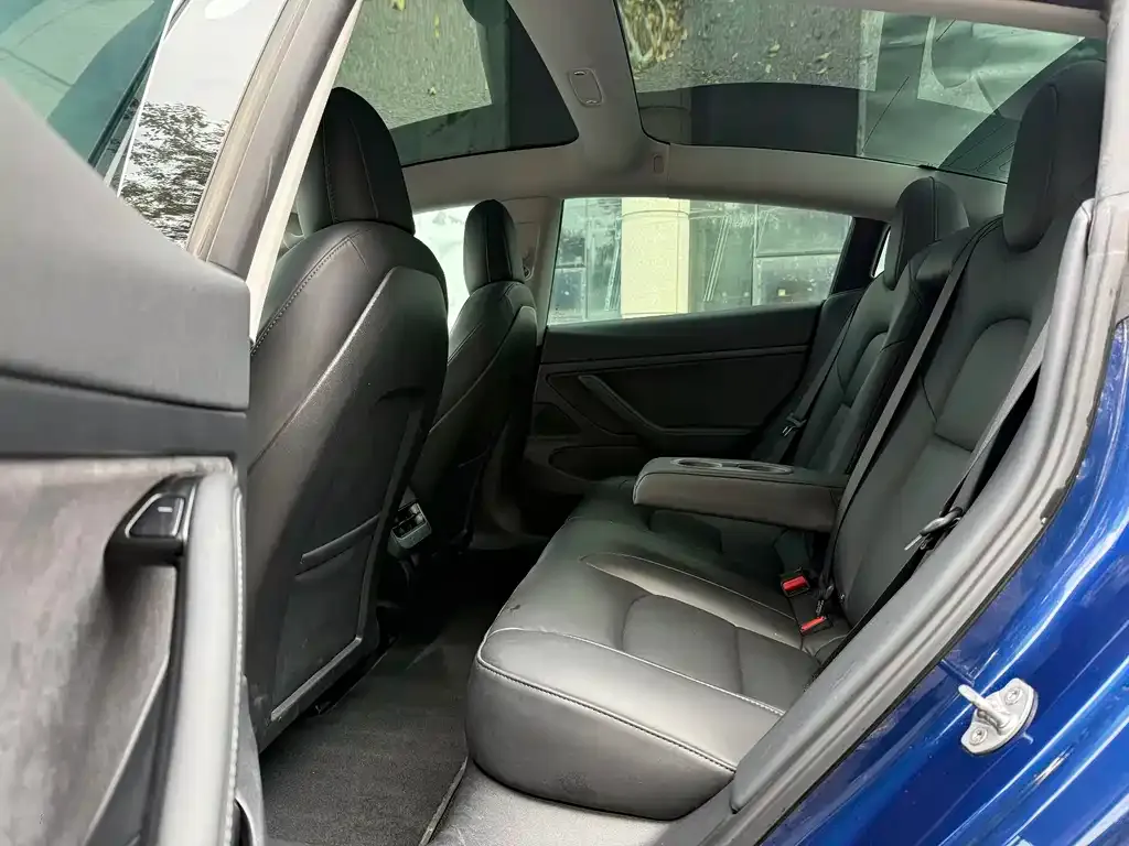 Tesla Model 3 2021 из CN, фото 6
