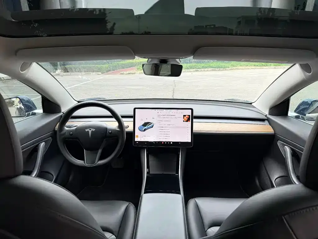 Tesla Model 3 2021 из CN, фото 7