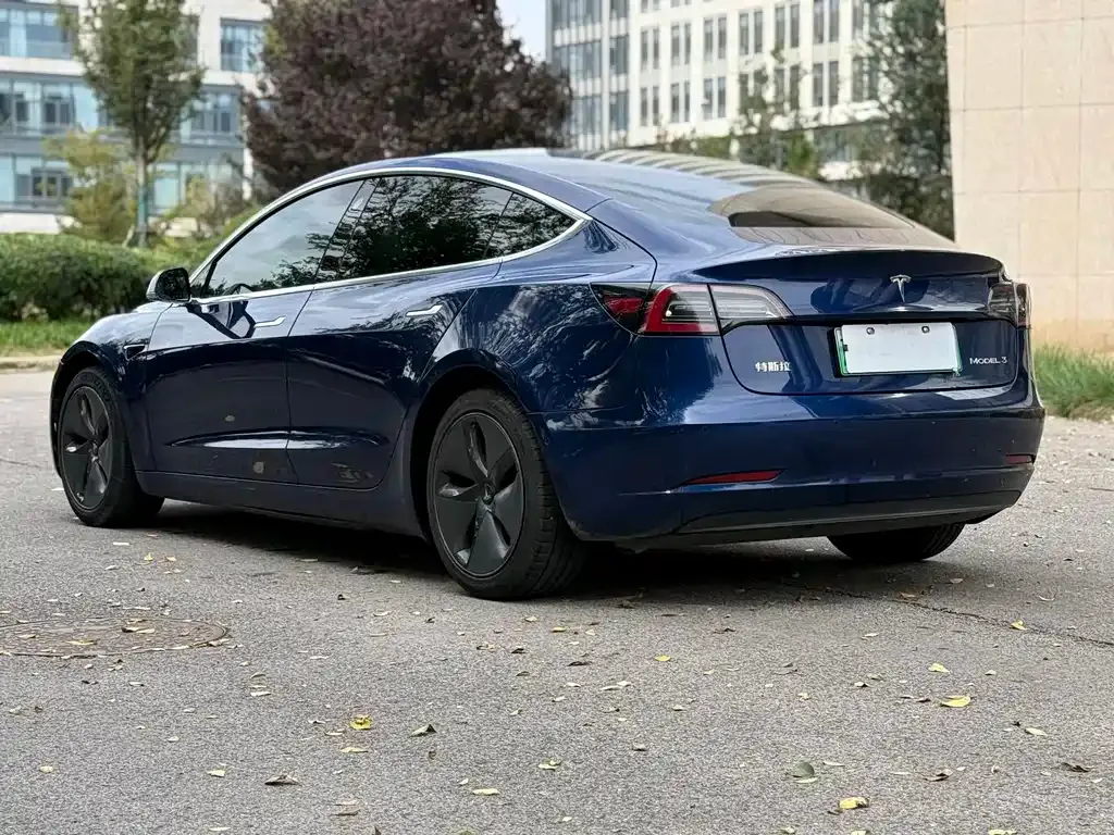 Tesla Model 3 2021 из CN, фото 8