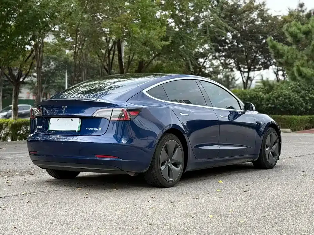 Tesla Model 3 2021 из CN, фото 9