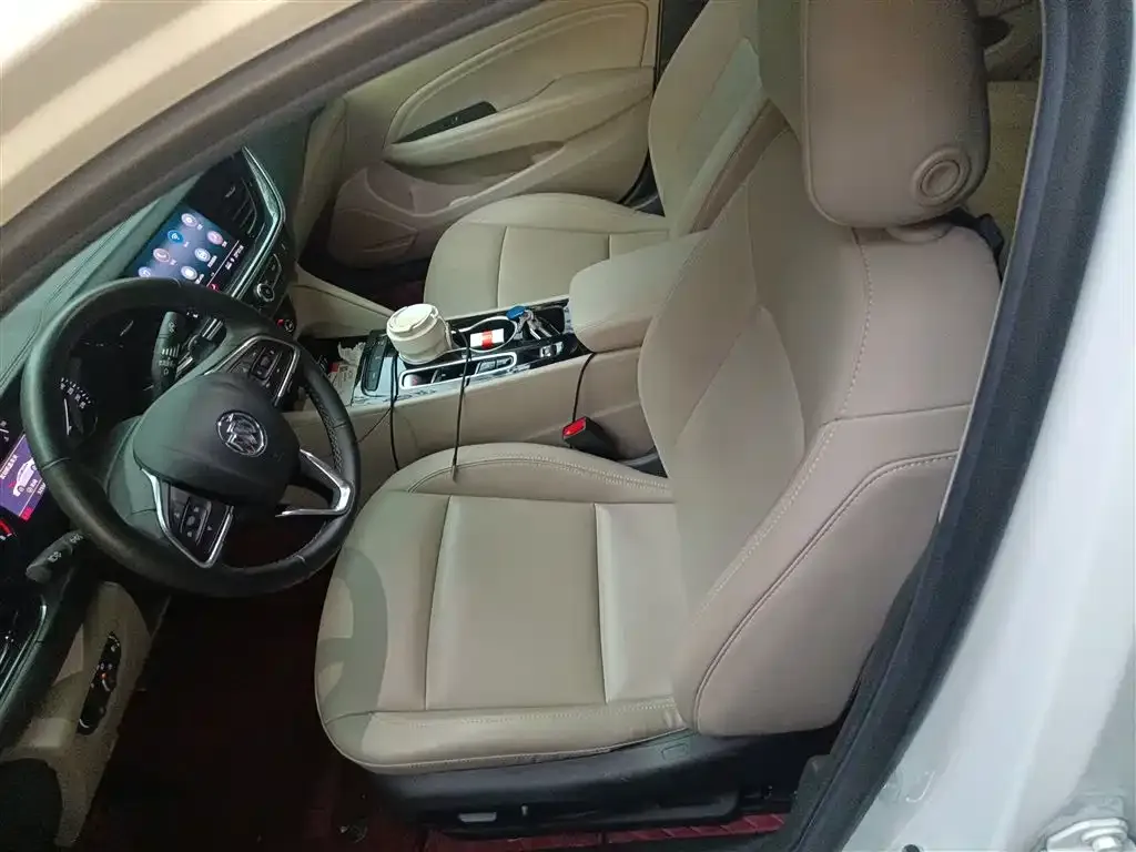 Buick Regal 2021 из CN, фото 8