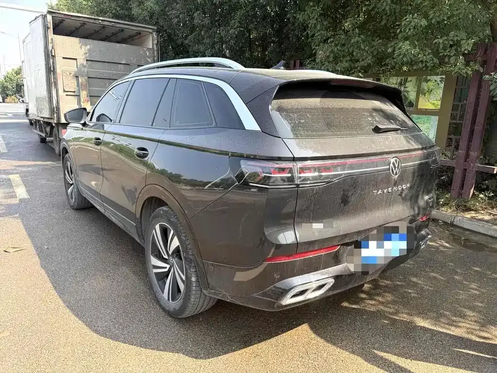 Volkswagen Tavendor 2024 из CN, фото 4
