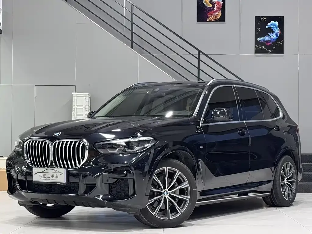 BMW X5 (Import) 2021 из CN, фото 1