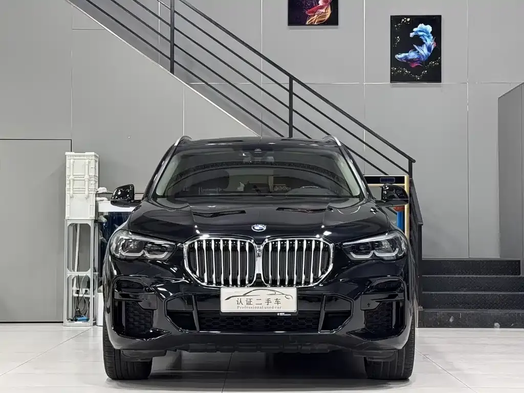 BMW X5 (Import) 2021 из CN, фото 2
