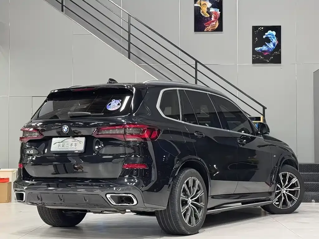 BMW X5 (Import) 2021 из CN, фото 3