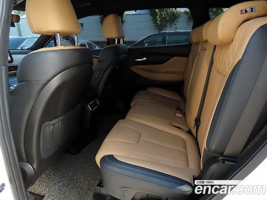 Hyundai Santafe 2021 из KR, фото 6