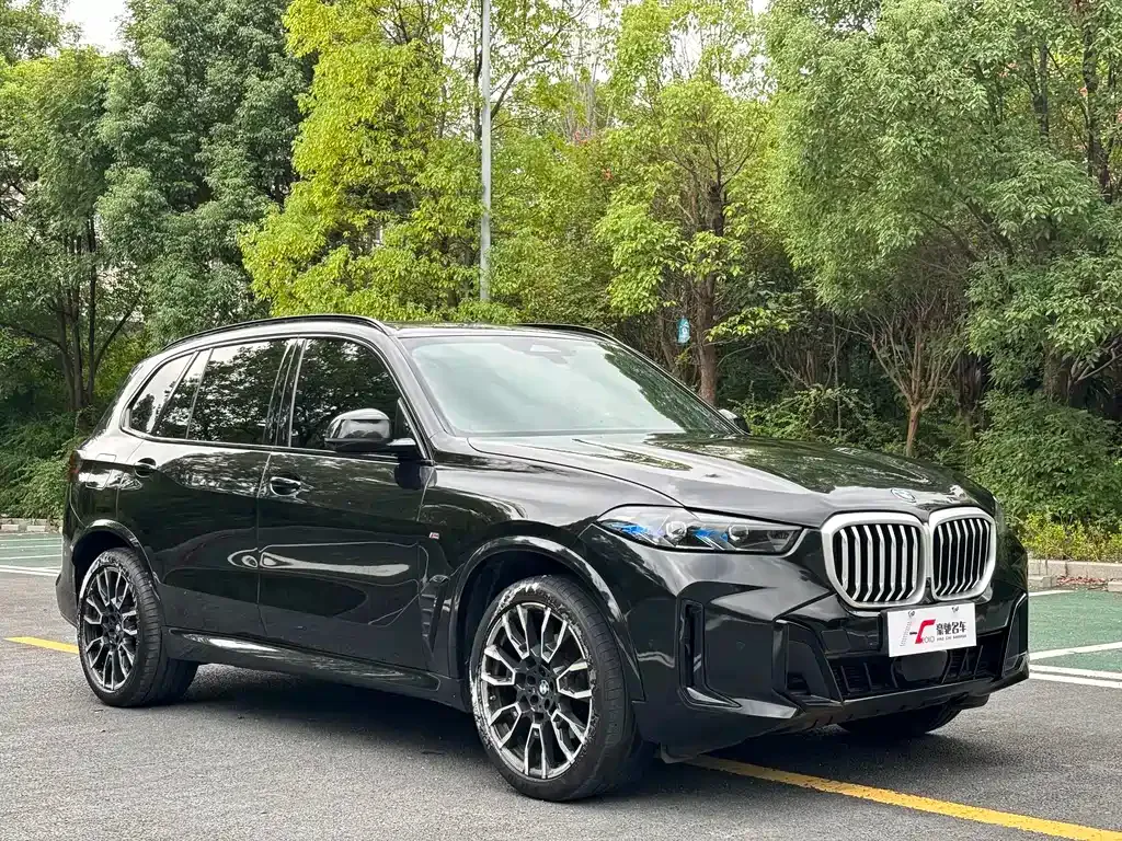 BMW X5 2024 из CN, фото 2