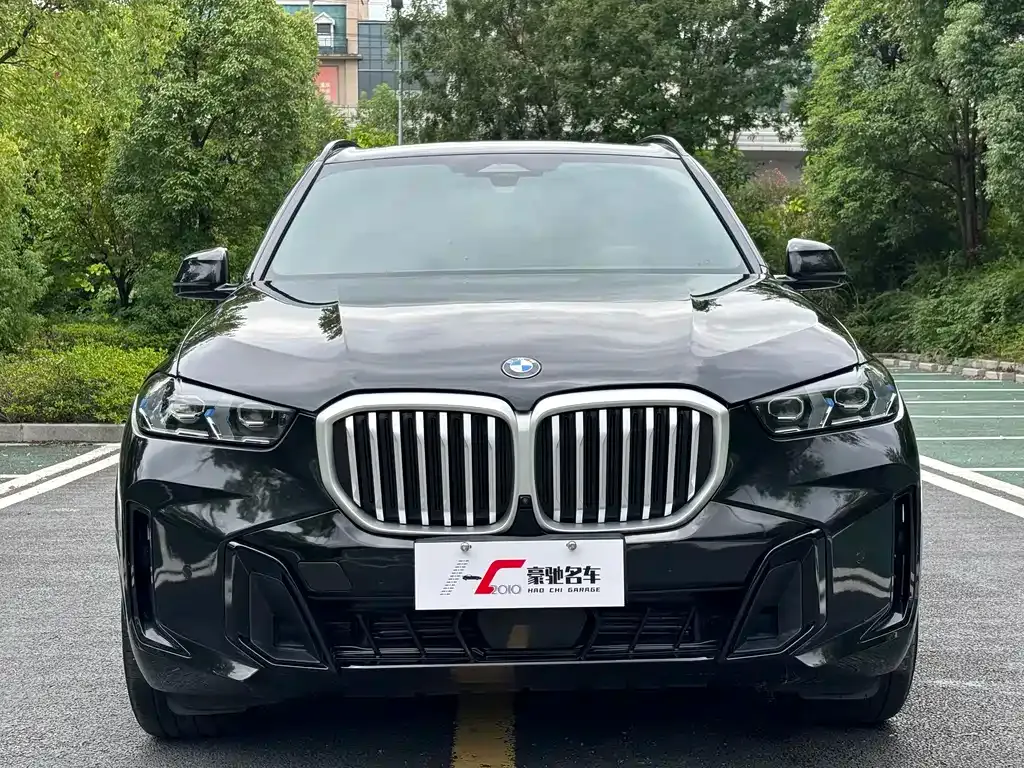 BMW X5 2024 из CN, фото 3