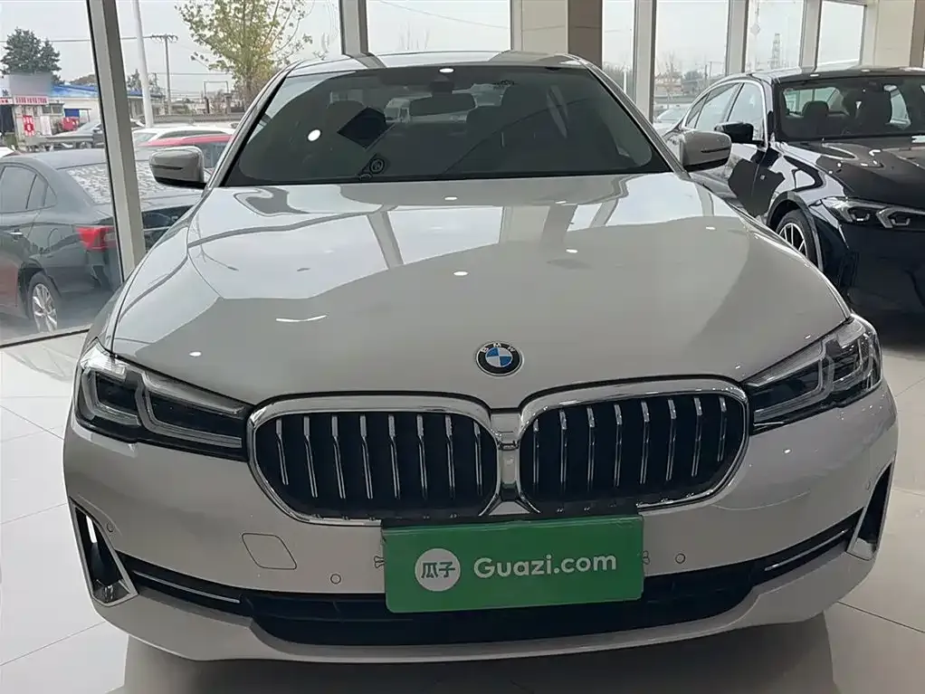 BMW 5 Series 2022 из CN, фото 3