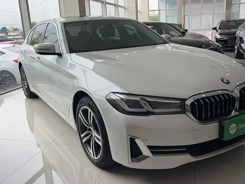 BMW 5 Series 2022 из CN, фото 4