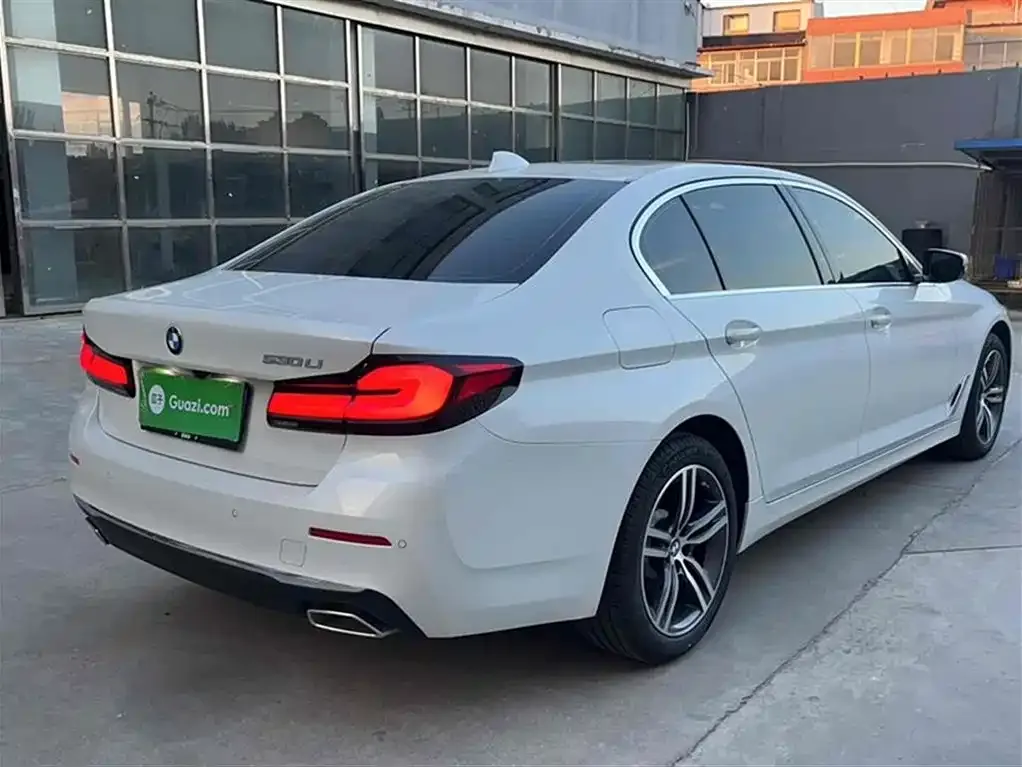 BMW 5 Series 2022 из CN, фото 6