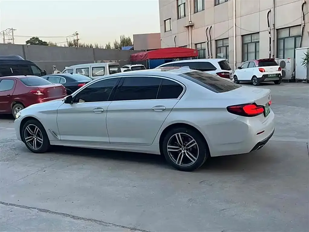 BMW 5 Series 2022 из CN, фото 7
