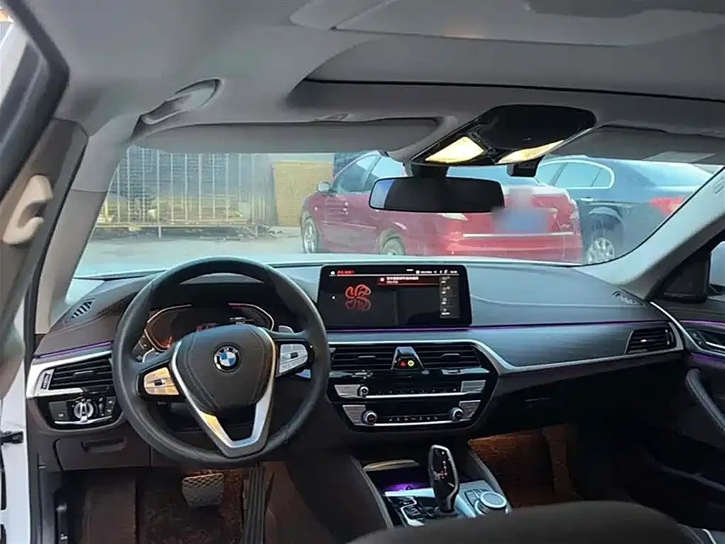 BMW 5 Series 2022 из CN, фото 9