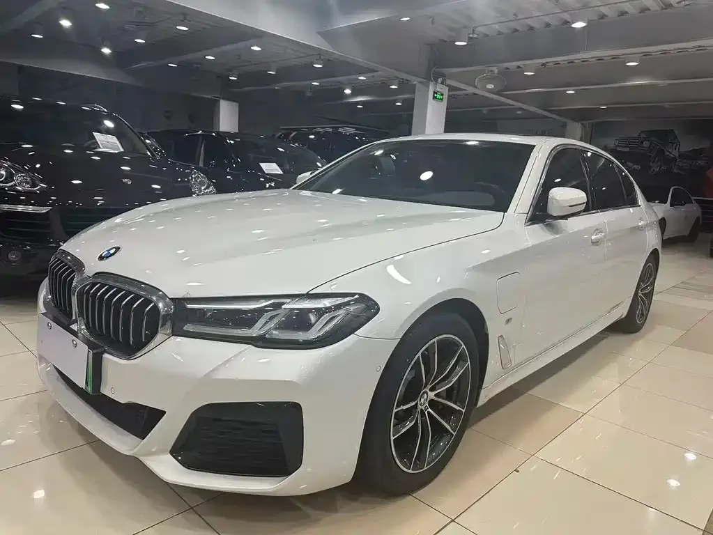 BMW 5 Series New Energy 2021 из CN, фото 1