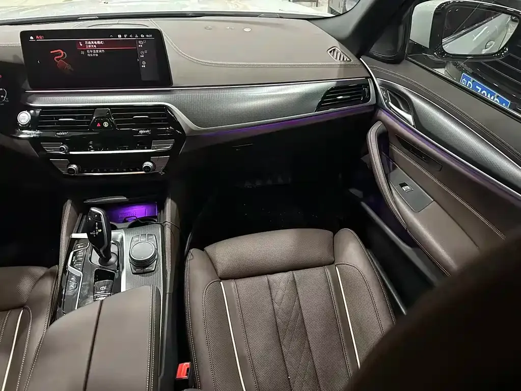 BMW 5 Series New Energy 2021 из CN, фото 10
