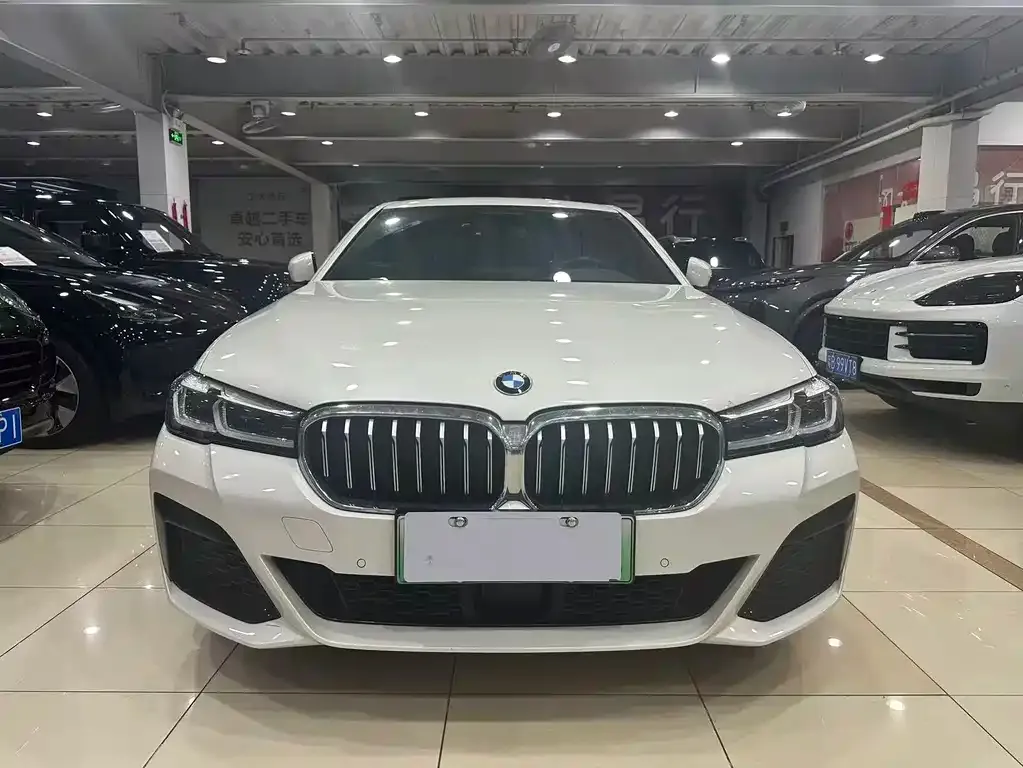 BMW 5 Series New Energy 2021 из CN, фото 2
