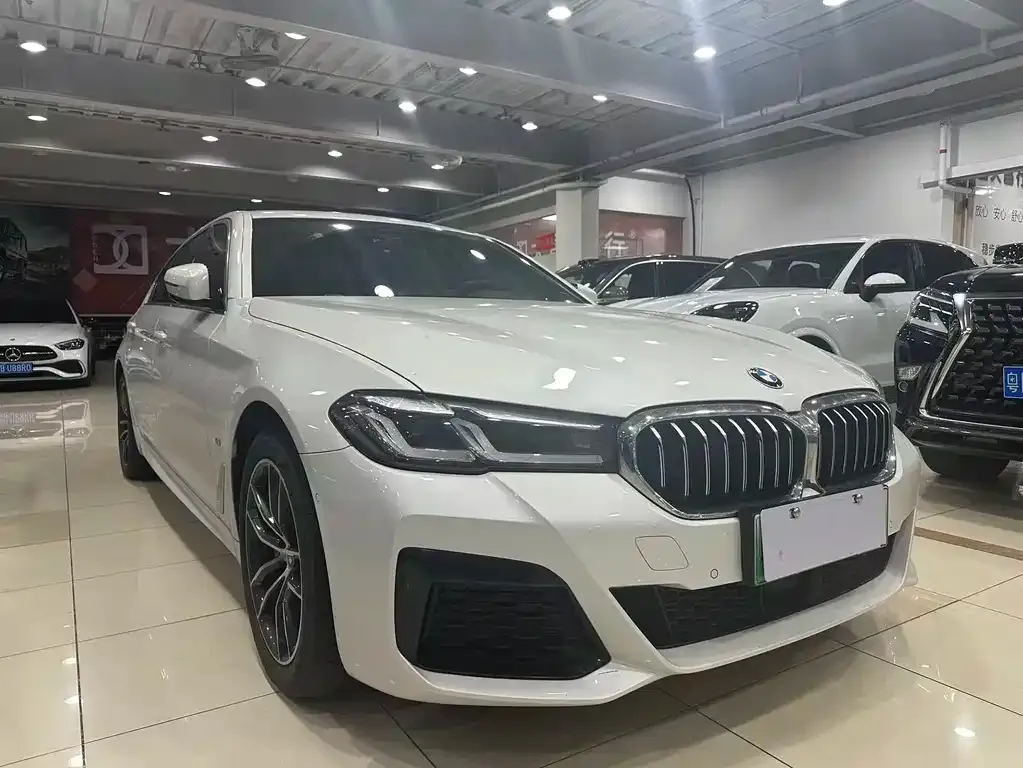 BMW 5 Series New Energy 2021 из CN, фото 3