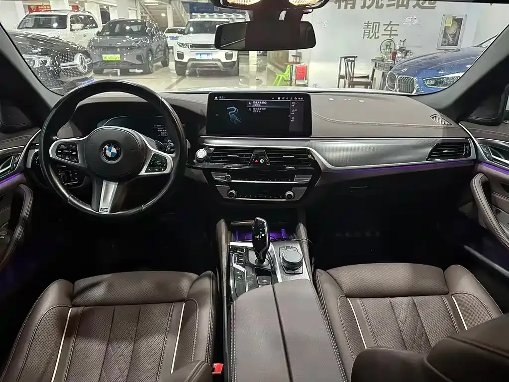 BMW 5 Series New Energy 2021 из CN, фото 7