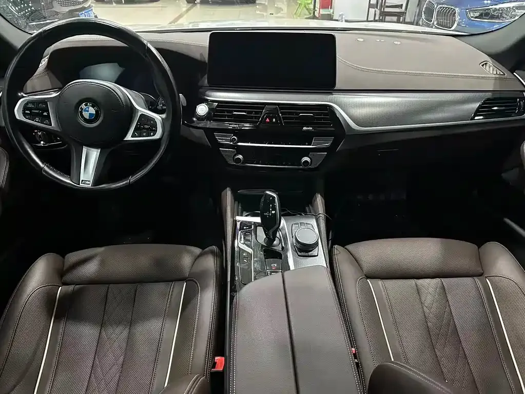 BMW 5 Series New Energy 2021 из CN, фото 8
