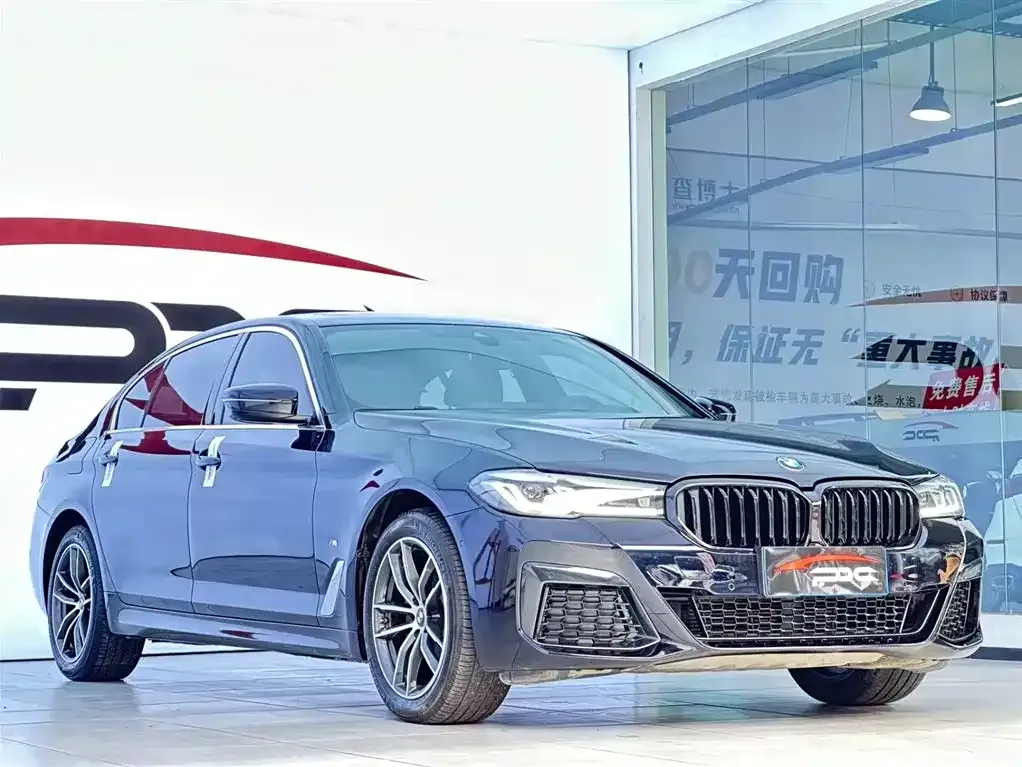 BMW 5 Series 2021 из CN, фото 4
