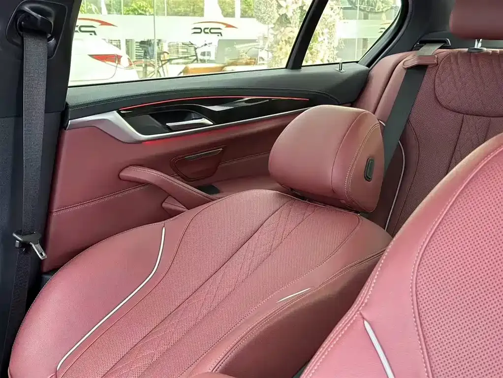 BMW 5 Series 2021 из CN, фото 7