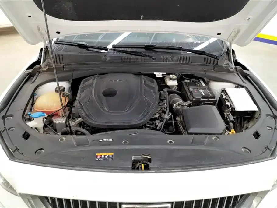 Geely Xingrui 2022 из CN, фото 10