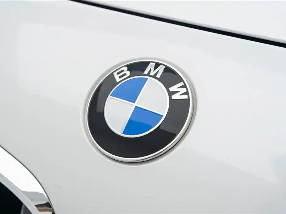 BMW X2 2021 из CN, фото 10