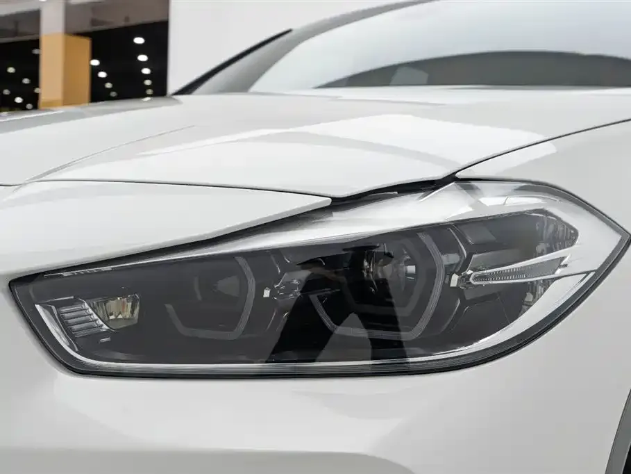BMW X2 2021 из CN, фото 9